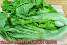 Jaga Kesehatan Kulit dan Mata dengan Sawi Pahit 