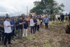 Sumsel Pacu Produksi Padi, Targetkan 5 Juta Ton GKG pada 2026 untuk Jadi Lumbung Pangan Nasional