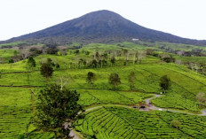 Profil Kota Kecil Gudang Para Jenderal di Sumatera Selatan : Warisan Sejarah dan Alam yang Memikat !