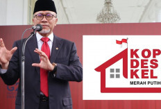 Rekrutmen Kopdes Merah Putih Hampir Tembus 1 Juta Pelamar, Status Manajer Setelah Kontrak 2 Tahun 