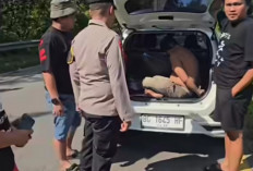 Bermodal GPS, Pecatan Polisi Curi Mobil Berlangsung  Dramatis