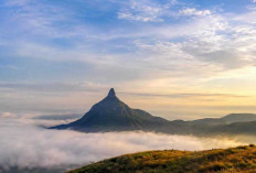 Bukit Batu Putri, Destinasi Pendakian dengan Panorama Memukau di Kabupaten Lahat