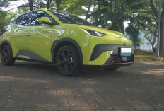 Mau Beli BYD Atto 1? Simak Dulu 7 Kekurangan dan Minusnya Sebelum Menyesal