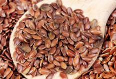 Tingkatkan Kecerdasan Otak dan Atasi Plak Gigi dengan Biji Rami