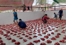 Masjid Agung Muara Enim Salurkan 700 Paket Daging Kurban