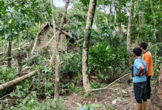 Dua Desa di Kecamatan Semidang Aji OKU Dihantam Angin Puting Beliung