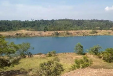 Eksotisme Danau Biru Keban: Bekas Tambang yang Disulap Jadi Surga Wisata di Sumatera Selatan !