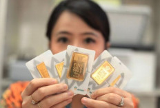 Harga Emas Antam Hari Ini, 23 Oktober 2025: Turun Rp16.000 Menjadi Rp2,337 Juta per Gram !  