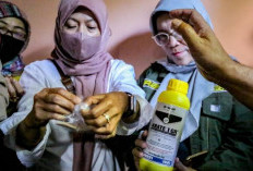 Tangani DBD, Bagikan Abate Gratis 