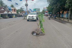 Warga Taman Pohon Pisang di Jalan Berlubang 