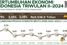 Pertumbuhan Ekonomi Indonesia Melanjutkan Tren Positif : Analisis Kinerja Triwulan II 2024 !  