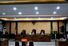 Adik Bos Tambang Batubara Ilegal  Divonis Separuh dari Tuntutan Jaksa