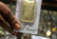 Update ! Harga Emas Antam 28 November 2024 : Naik Rp9.000 Menjadi Rp1,513 Juta per Gram