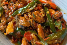 Oseng Kerang : Sensasi Kuliner Laut yang Menggugah Selera