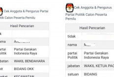 Dua Nama Anggota Parpol Lolos dan Dilantik PPS Ogan Ilir, KPU  Bungkam