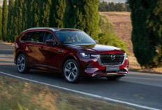 Lebih Canggih dan Murah dari Palisade, Ini Alasan Mazda CX-80 Jadi Pilihan Rasional