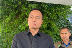 Sumsel Tetapkan Status Siaga Darurat Karhutla hingga November 2026