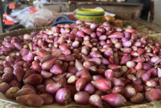  Harga Pangan 20 Desember 2024 : Mayoritas Turun, Bawang Merah Tembus Rp39.150 per Kilogram !