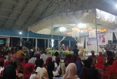 Malam Puncak Resepsi HUT RI Desa Pedamaran III, Rangkum : Ini Ajang Silaturahmi
