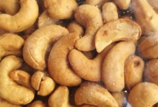 Kacang Mede : Dari Camilan Gurih hingga Bahan Olahan Mewah yang Memikat Lidah