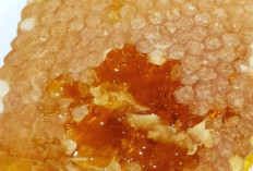 Manfaat Madu untuk Anak Kecil, Pemanis Alami yang Kaya Nutrisi dan Baik untuk Pertumbuhan