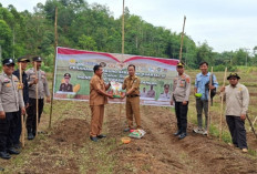 Wujudkan Desa Tangguh Pangan