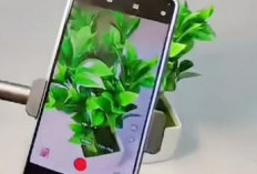 ﻿Tips Cerdas Memilih HP untuk Konten Kreator Pemula 