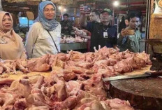 Harga Pangan 5 November 2024 : Terus Merangkak Naik, Daging Ayam Tembus Rp39.460 per Kilogram !