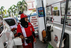 Prabowo Tegas Berantas Mafia Bisnis, Dorong Reformasi Ekonomi dan Penegakan Hukum