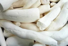  Singkong Si Ubi Kayu Menjaga Kesehatan Kulit dan Cegah Penuaan Dini