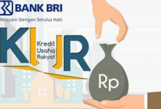 Adanya KUR BRI Debitur Semakin Dipermudah Kembangkan Usaha, Bunga Kecil Pencairan Cepat 