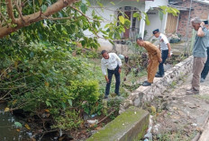 Jelang Akhir Tahun, Wali Kota Prabumulih H Arlan Tinjau Rehab Jembatan Kuning dan Gorong-gorong