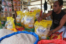 Harga Pangan 23 September 2025: Beras Medium Turun Jadi Rp13.652, Cabai Rawit Merah Rp46.680 !