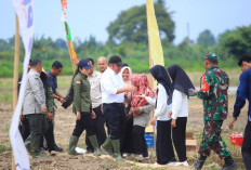 Gubernur Sumsel Herman Deru Serahkan Alsintan dan Ikut Tanam Padi di OKU Timur