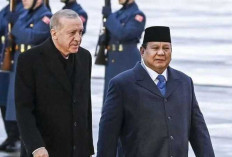 Perkuat RI-Turki Dukung Perdamaian di Palestina   