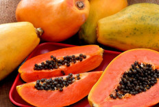 Jaga Kesehatan Ginjal dan Hati dengan Biji Buah Pepaya
