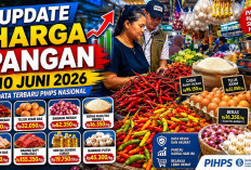 Update Harga Pangan 10 Juni 2026: Cabai Rawit Tembus Rp95.150, Telur Ayam Rp32.050 per Kilogram