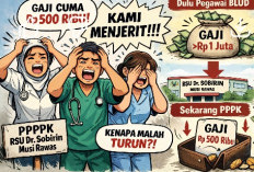 Jeritan PPPK Paruh Waktu di RSU Sobirin: Gaji Turun Setelah Diangkat, Harapan Setara UMR Pupus