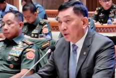 Usulkan Tunjangan Operasi Bagi Prajurit TNI Naik 75%   