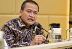 Sinergi Pusat dan Daerah Jadi Kunci Keberlanjutan Pembangunan Nasional