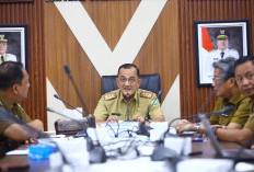 Sekda Sumsel Cari Jalan Keluar Atasi Gangguan Listrik