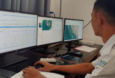 BMKG Catat Sebanyak 255 Gempa Terjadi di Bengkulu Sepanjang 2024