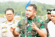 Perluas Wilayah Pelaksanaan Program Agroforestry    