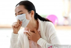  Waspada ! Dinkes Sumsel Temukan 523 Suspek Flu Singapura  