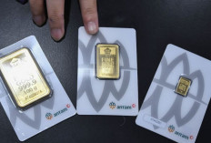 Update ! Harga Emas Antam 6 Desember 2024 : Turun Rp8.000, Kini Rp1,514 Juta per Gram