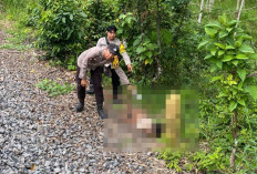 Diduga Tertabrak Kereta, ODGJ  Ditemukan Tewas