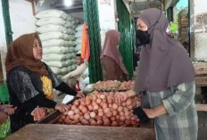 Harga Telur Ayam Ras di OKU Turun Rp1.000 Perkg
