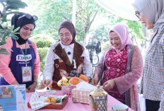 Kolaborasi TP PKK Palembang dan Dinas Perikanan Palembang, Lomba Masak Ikan Lahirkan Inovasi Menu Lezat