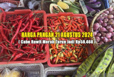 Harga Pangan  21 Agustus 2024 : Penurunan Cabai Rawit Merah Rp58.460 per Kilogram !