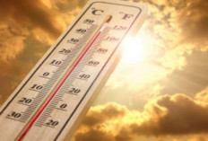 Ancaman Heatstroke: Dampak Serius dan Cara Pencegahannya di Musim Panas